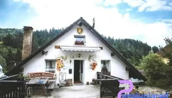 Alpin Ranch - Zărnești