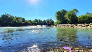 Argeș Grădinari - Grădinari 077090