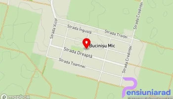Bucinișu Mic - Bucinișu Mic