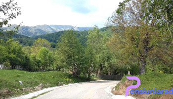 Bărbătești - Bărbătești