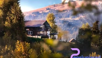 Cabana Lostlog - Dorna Arini 727200