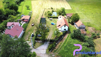 Cabana lui Ilie - Luncșoara 417031