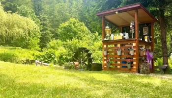 Cabana Marioane - Petrila 335800