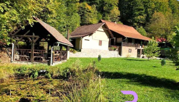 Cabana Valea Neagră 1si 2 - Firiza