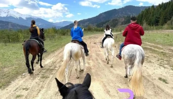 Cai Borsa Maramures - Borșa