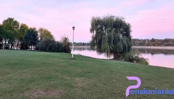 Calul Bălan Sa - Buftea 070000