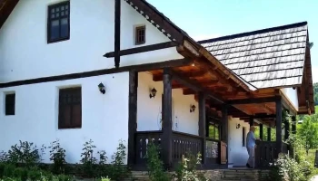 Casa de Hogină Maria - Valea Borcutului