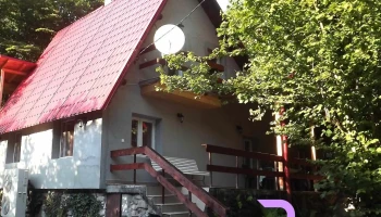 Casa de oaspeti Boga - Pietroasa 417365