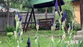Casa de vacanta - Poenițele 127176