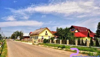 Casa Galbena - Arbore