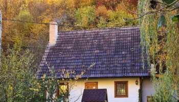Casuta cu Alune - Cabana Valea Manastirii - Muntii Apuseni - Valea Mănăstirii 517601