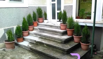 Cazare Banesti - Pensiunea Dor De Alunis 3*** - Str. Principala