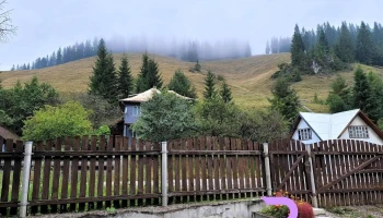 Cazare - Valea Putnei 727441