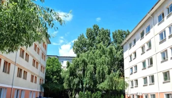 Codrea Company - Turnu Măgurele 145200