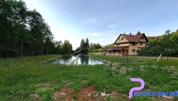 Colții Brezei - România
