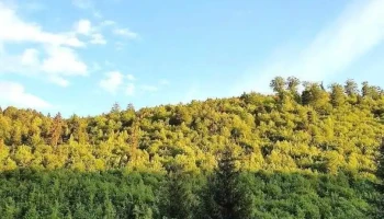 Comuna Ghelința - Romania