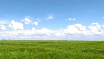 Comuna Milcovul - Romania