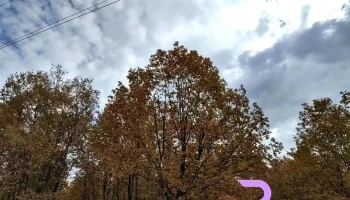 Comuna Murgași - Romania