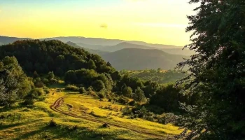 Comuna Valea Chioarului - Romania