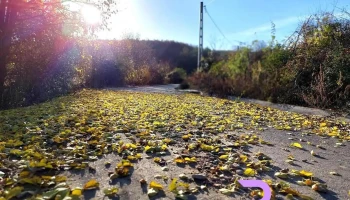 Comuna Vârteșcoiu - Romania