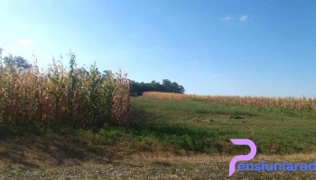 Comună Hilişeu-horia - Romania