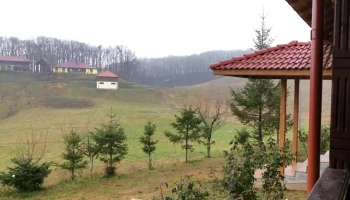 Conacul Domnitei - Dăești