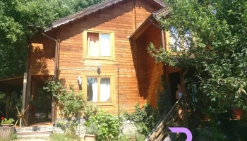 Craiul Muntilor - România