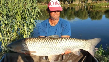 Crocodyl Dande Marghita - Marghita 415300