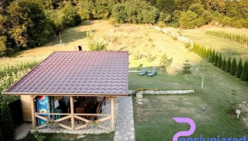 Căsuța din Pădure - Nr. 24a