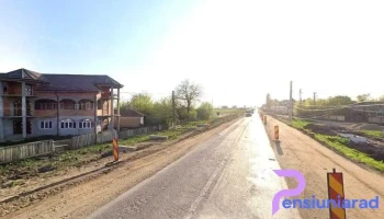 Dinastia contineanu - Furculești 147145