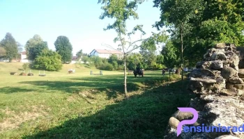 Domeniul Cantacuzino - Florești 107255