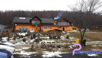 Dumbrava Ursului - Romania