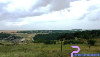 Dumbrăveni - Dumbrăveni