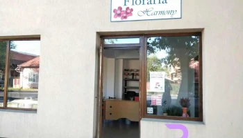 Florăria Harmony - Cristești