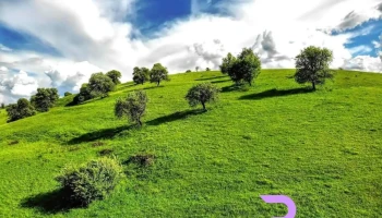 Gârbău - Gârbău