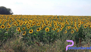 Giarmata - Giarmata
