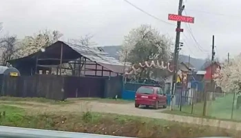 Glogova - Glogova
