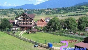 Hora cu Brazi - Zărnești