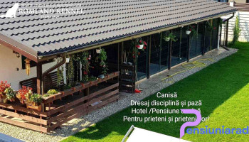 Hotel pentru caini, pensiune canina, Canisa Romland - Berceni 077020