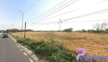 Insula Fulga - România