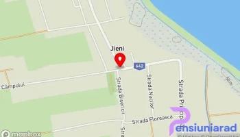 Jieni - Jieni