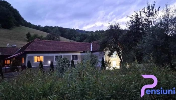 La Shura, Travel in Apuseni - Dupăpiatră 337137