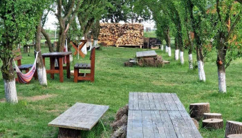 Livada cu lavanda - St. Principală 178