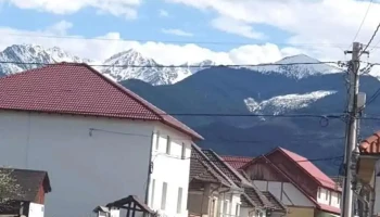 Los Primos - cazare in Arpasu de Sus - Arpașu De Sus