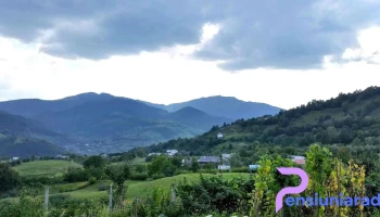 Lunca Leșului - Lunca Leșului