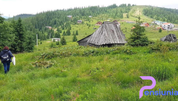 Muntele Băişorii - Muntele Băişorii
