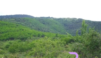 Măderat - Măderat