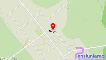 Negri - Negri