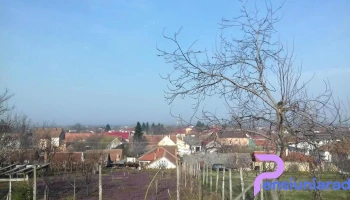 Oraş Pâncota - Romania