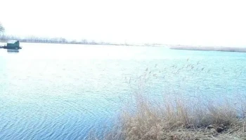 Orbeni - Orbeni